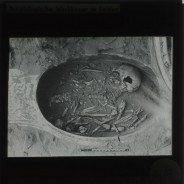 Böhl glass slide 12./151